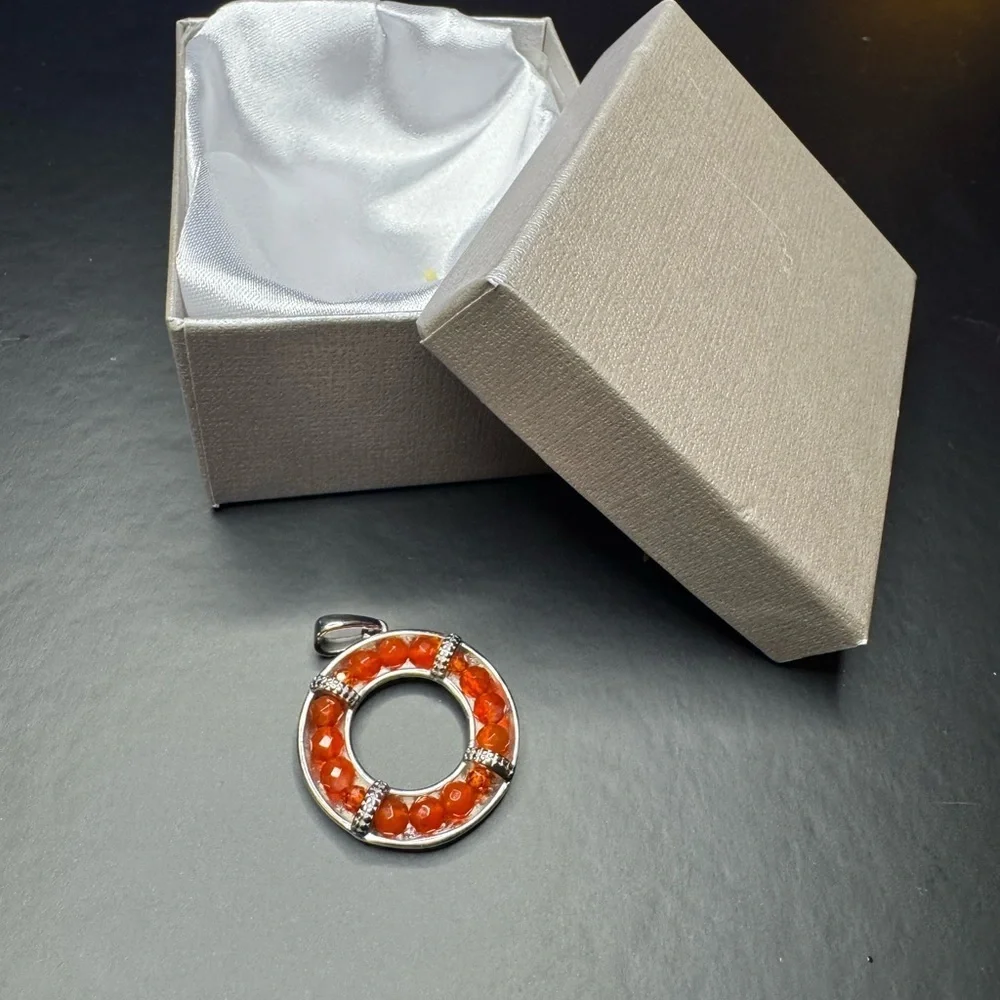 Carnelian Circle Pendant in Stainless Steel.